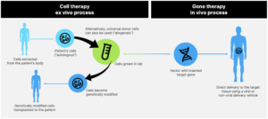 What are cell and gene therapies?